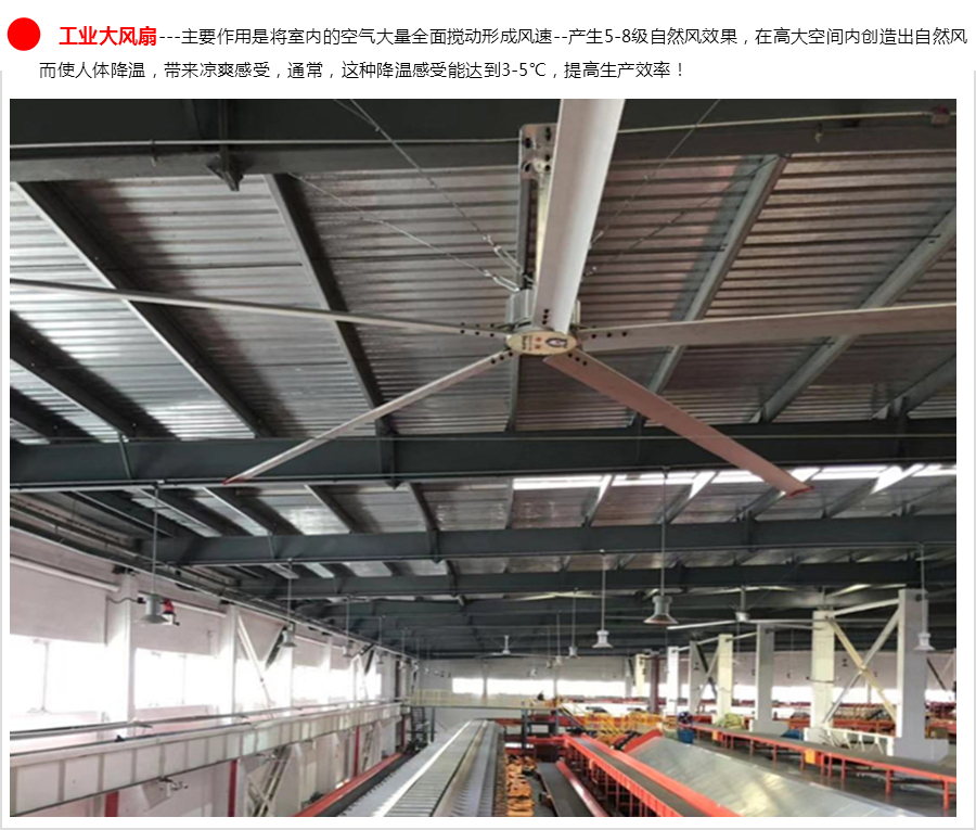 1587894979698629.jpg 1.jpg